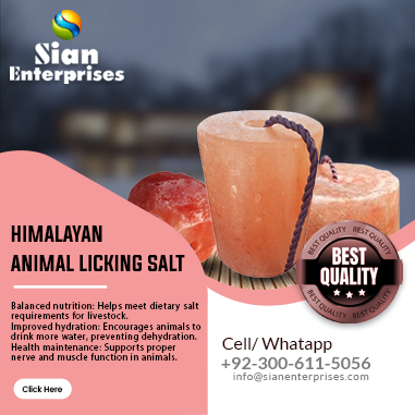 Himalayan Animal Salt Licks