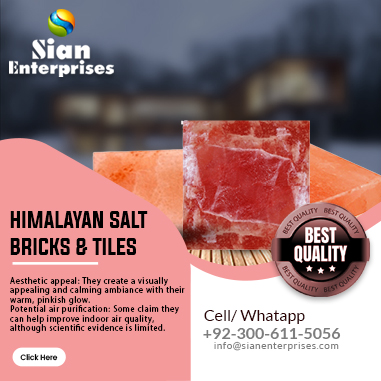 Himalayan Salt Bricks & Tile