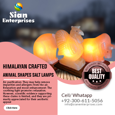 Himalayan Crafted Animal Shapes Salt Lamps