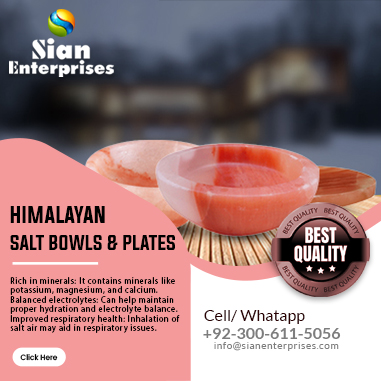 Himalayan Salt Bowls & Plates